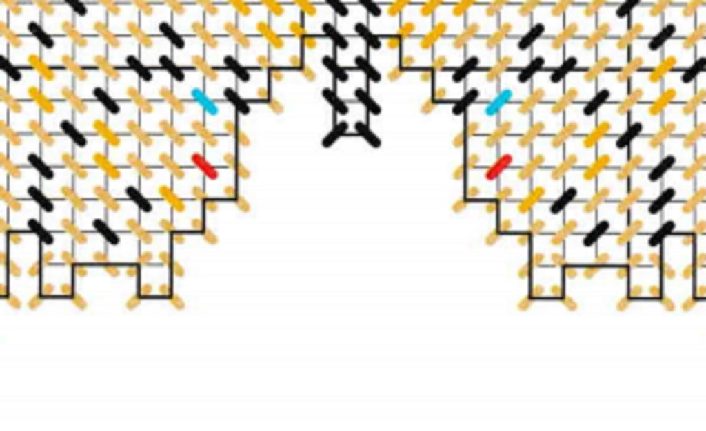 Butterfly Magnet Needlepoint Fridgies 10-Mesh Plastic Canvas Pattern chart detail